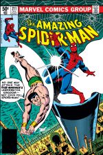 The Amazing Spider-Man (1963) #211 cover
