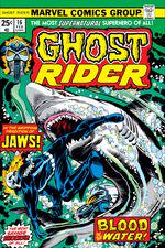 Ghost Rider (1973) #16 cover
