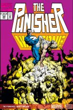 The Punisher War Zone (1992) #29 cover