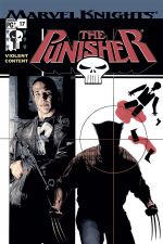 Punisher (2001) #17 cover