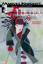 Elektra: Glimpse and Echo (2002) #1 cover