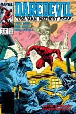 Daredevil (1964) #215 cover