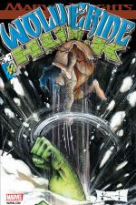 Wolverine/Hulk (2002) #2 cover