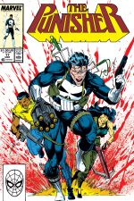 The Punisher (1987) #17 cover