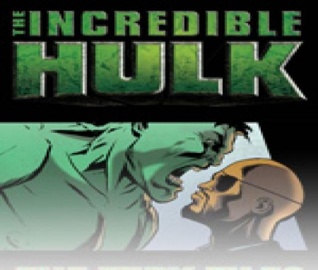 Incredible Hulk: The Fury Files (2008) #2