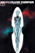 Death of the Silver Surfer (2025) #5 cover