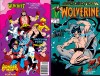 Marvel Comics Presents #41