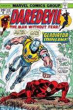 Daredevil (1964) #113 cover