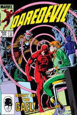 Daredevil (1964) #205 cover