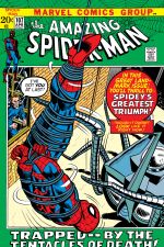 The Amazing Spider-Man (1963) #107 cover