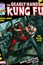 Deadly Hands of Kung Fu (1974) #23 cover