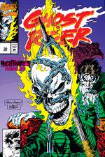 Ghost Rider (1990) #30 cover