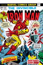 Iron Man (1968) #65 cover