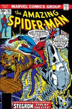 The Amazing Spider-Man (1963) #165 cover