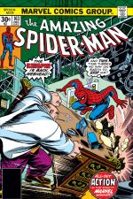 The Amazing Spider-Man (1963) #163 cover