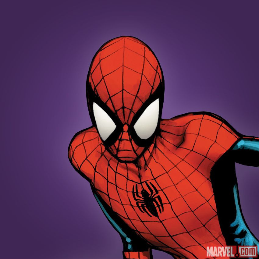 Character drawing of Spider-Man (Ultimate)