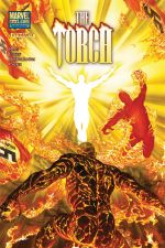The Torch (2009) #8 cover