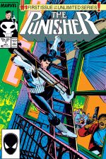 The Punisher (1987) #1 cover
