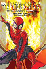 Spider-Man: With Great Power... (2008) #3 cover