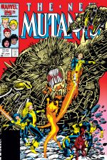New Mutants (1983) #47 cover