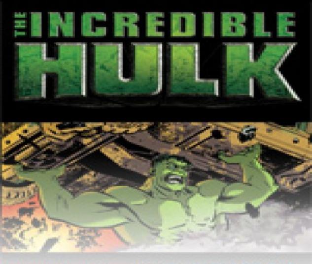 Incredible Hulk: The Fury Files (2008) #1