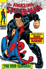 The Amazing Spider-Man (1963) #73 cover
