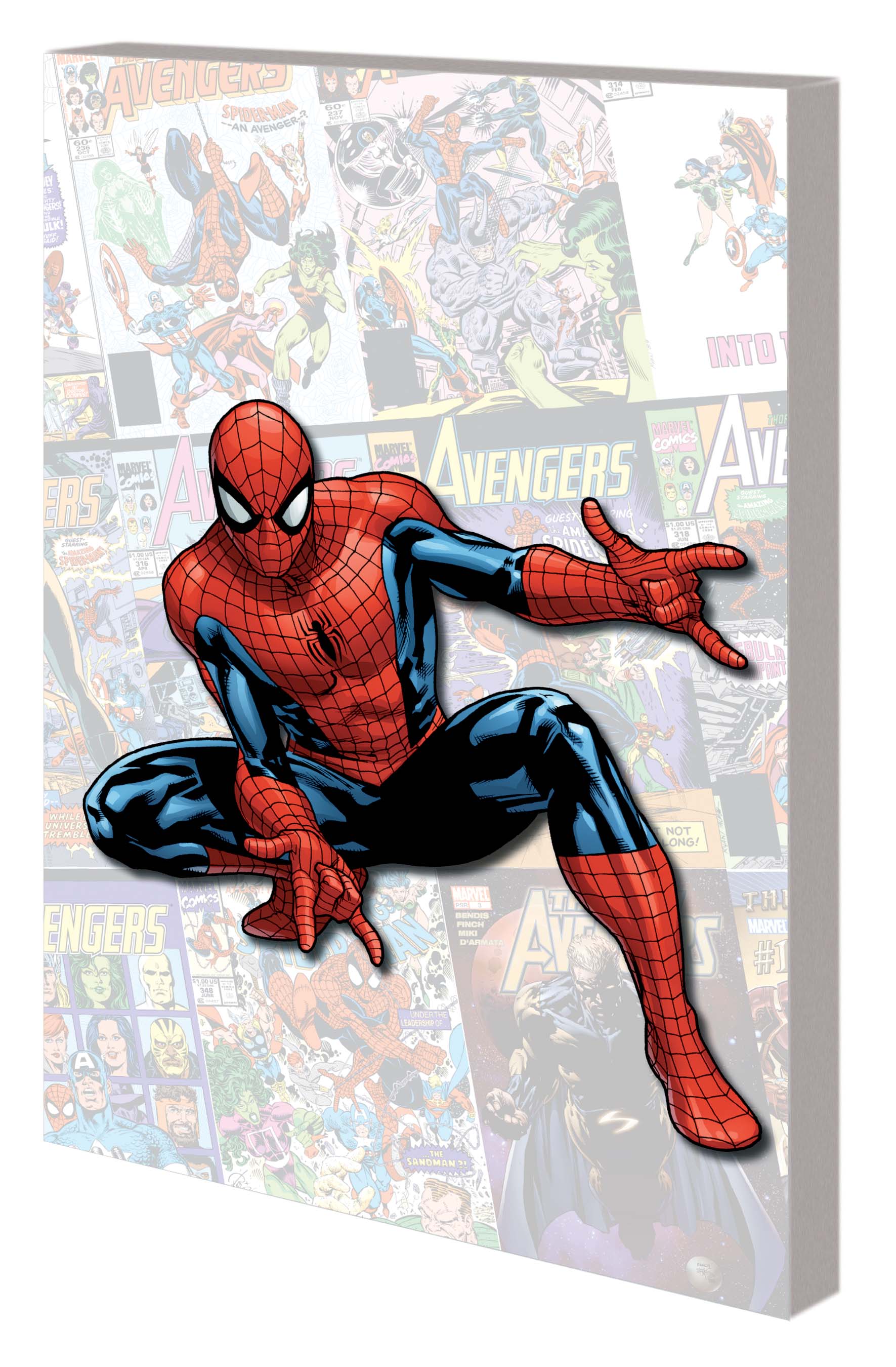 Spider-Man: Am I an Avenger? (Trade Paperback)