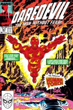 Daredevil (1964) #261 cover