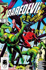 Daredevil (1964) #207 cover