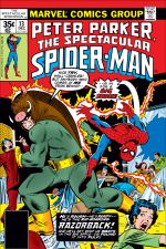 Peter Parker, the Spectacular Spider-Man (1976) #13 cover