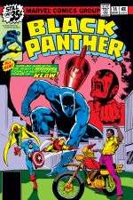 Black Panther (1977) #14 cover