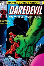 Daredevil (1964) #163 cover