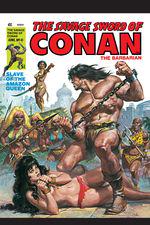 The Savage Sword of Conan (1974) #41 cover