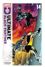 Ultimate Black Panther (2024) #14 cover