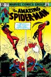 Amazing Spider-Man (1963) #233 Cover