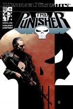Punisher (2001) #32 cover