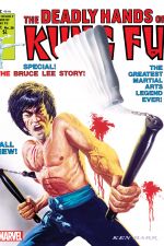 Deadly Hands of Kung Fu (1974) #28 cover