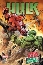 Hulk (2014) #14 cover