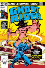 Ghost Rider (1973) #68 cover