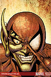 Amazing Spider-Girl (2006) #28