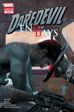 Daredevil: End of Days (2012) #5 cover