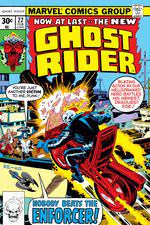 Ghost Rider (1973) #22 cover
