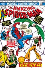 The Amazing Spider-Man (1963) #127 cover