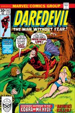 Daredevil (1964) #142 cover