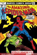 The Amazing Spider-Man (1963) #176 cover