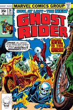 Ghost Rider (1973) #28 cover