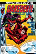 Daredevil (1964) #140 cover