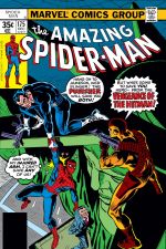 The Amazing Spider-Man (1963) #175 cover