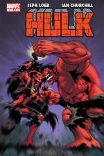Hulk (2008) #17 cover