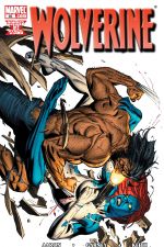 Wolverine (2003) #65 cover